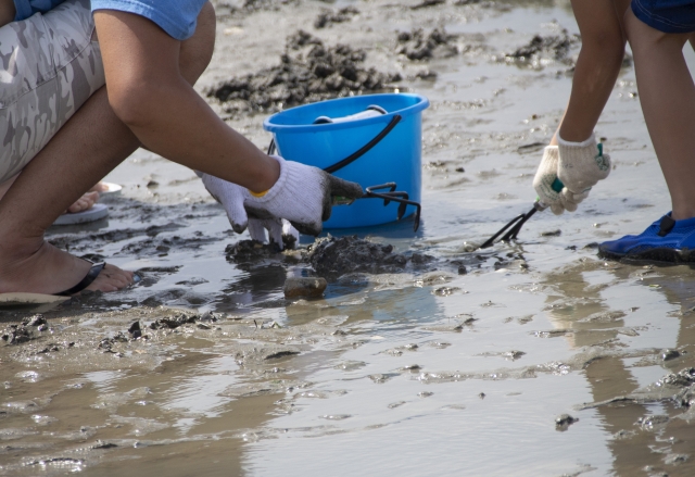 浜へ降りて潮干狩りをしている人のイメージ画像